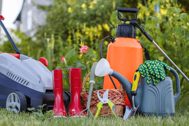 Property and Garden Clearance